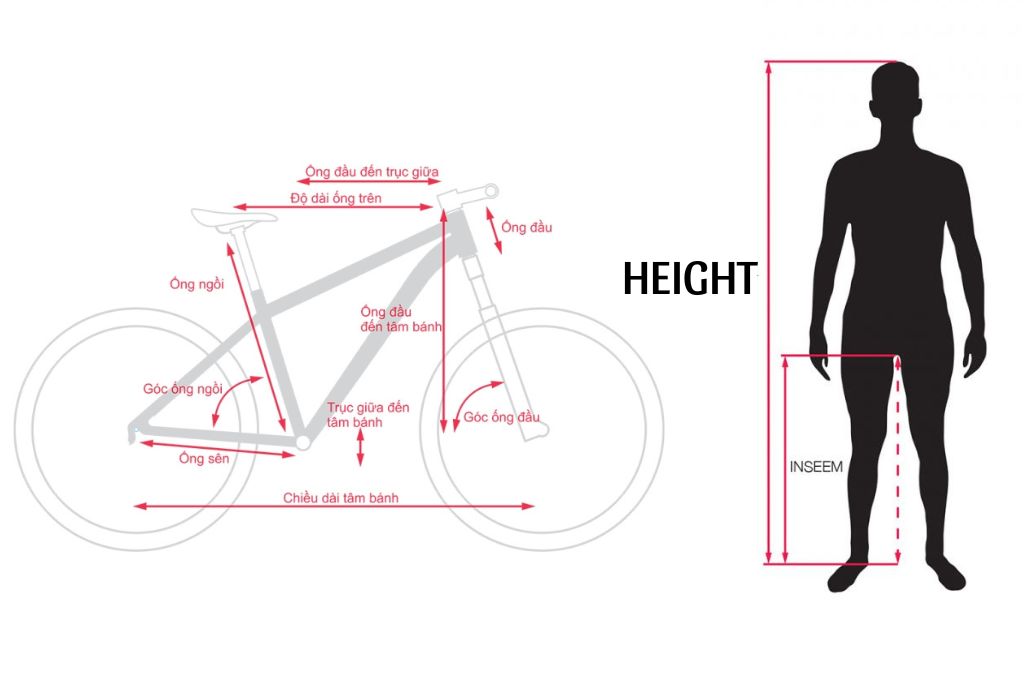 Xe Đạp Phù Hợp Với Chiều Cao 1m65: Chọn Size Chuẩn