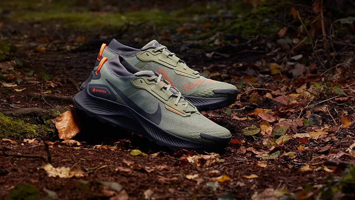 giày chạy bộ chống nước Nike Pegasus Trail 3 GTX