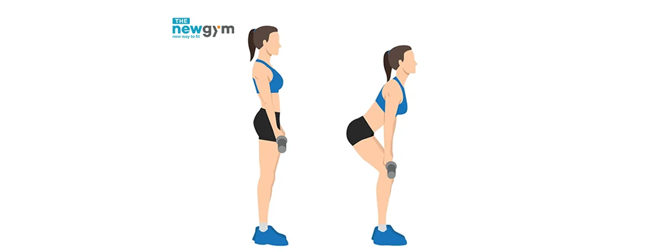 Barbell rack pull phát triển lưng và chuỗi cơ sau cho người mới tập gym