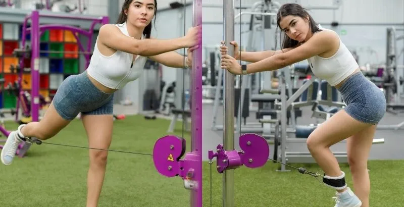 Máy táp mông Glute Kickback