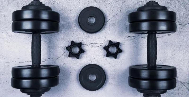 Tạ đơn (Dumbbells)