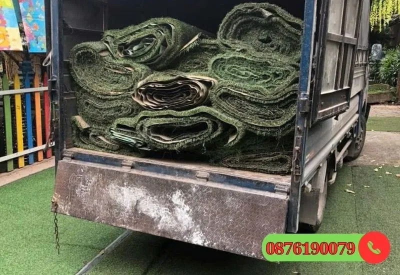 Cung cấp dòng cỏ mới, cũ giá rẻ