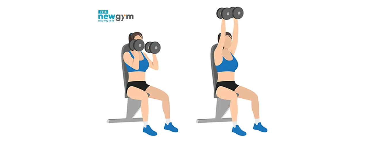 Dumbbell hammer press phát triển ngực an toàn cho người mới tập gym