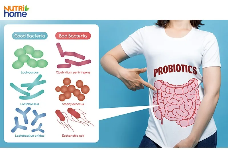 Giảm cân bằng cần tây