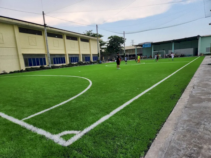 Hình ảnh mặt sân mới lại cỏ.