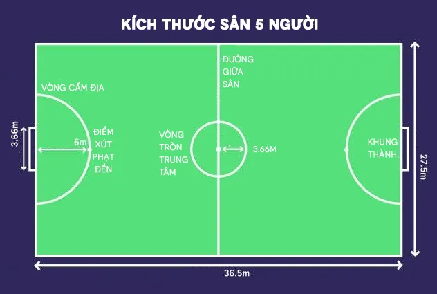 Kích thước sân bóng 5 người theo chuẩn FIFA