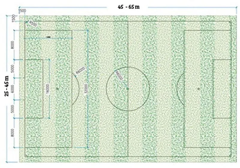 Kích thước chiều rộng sân bóng đá 7 người là 30m, biên sân 1,4m-2m