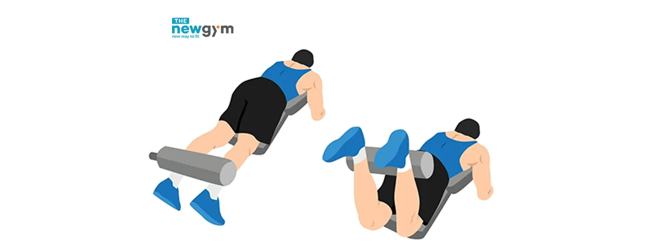 Leg curl phát triển cơ đùi sau cho người mới tập gym