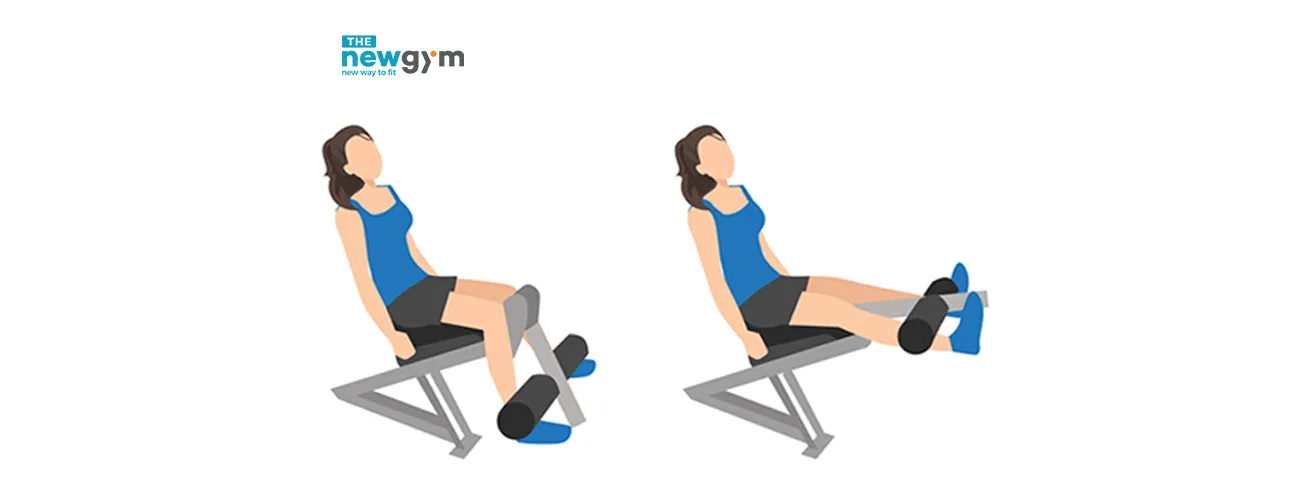 Leg extension cô lập cơ tứ đầu đùi cho người mới tập gym
