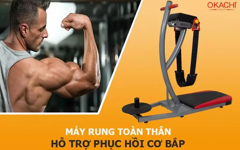Máy rung toàn thân hỗ trợ phục hồi cơ bắp