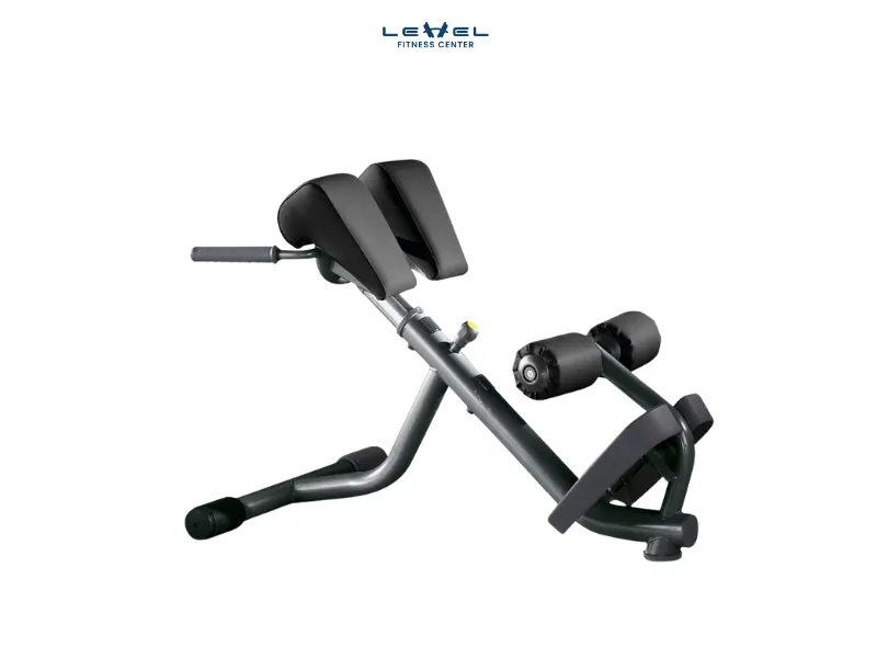 Tập cơ lưng dưới và bụng với ghế Roman Chair