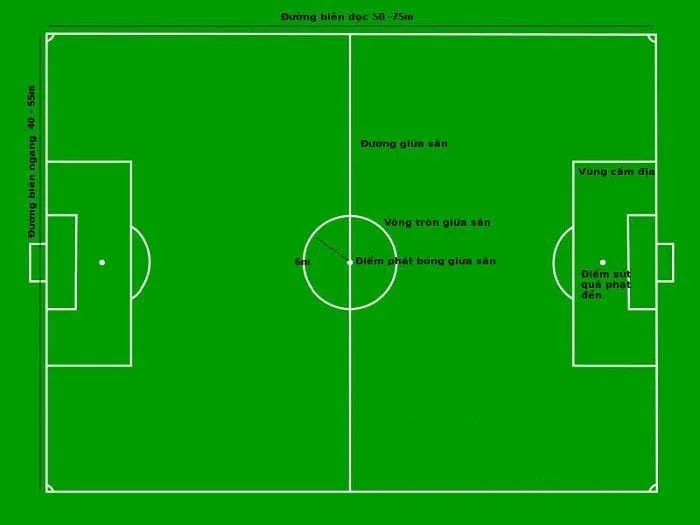 Kích thước chiều dài sân bóng đá 7 người là 60m, biên sân 1,4m-2m