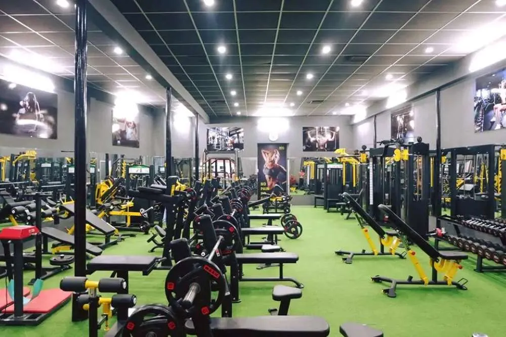 BIG Bodybuilding & Fitness - phòng gym chuyên tăng cơ gần phường 13 quận Tân Bình