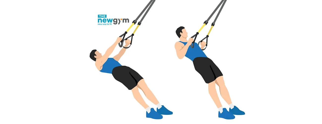 TRX inverted row xây dựng cơ lưng với trọng lượng cơ thể cho người mới tập gym
