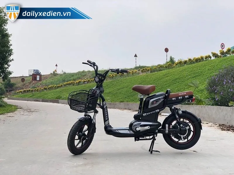 xe đạp điện của nhật giá bao nhiêu