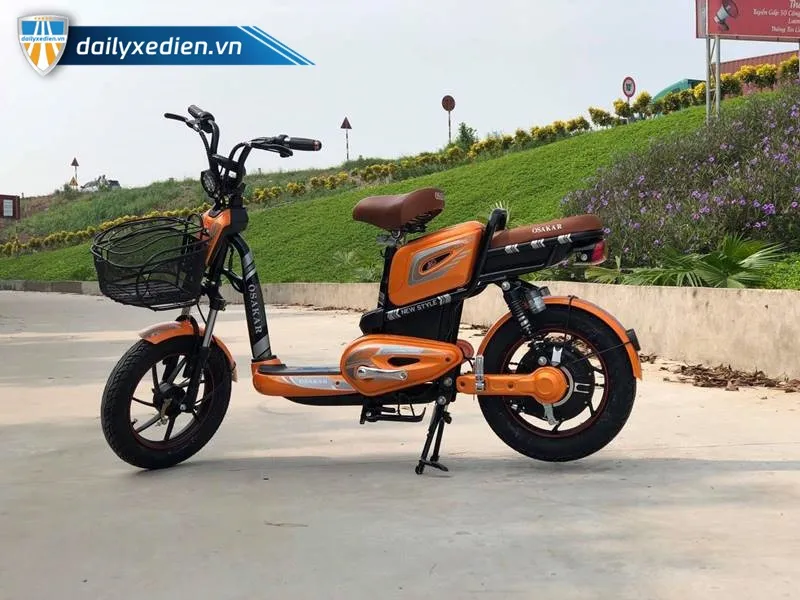 xe đạp trợ lực điện hãng nhật bãi