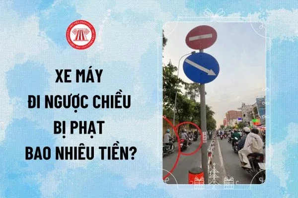 Xe máy chạy ngược chiều bị xử phạt nghiêm khắc theo quy định mới