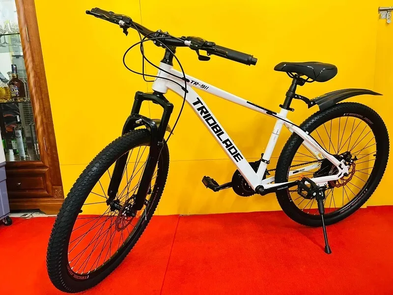 Xe đạp thể thao địa hình Trioblade